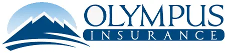 Olympus Insurance - Partners